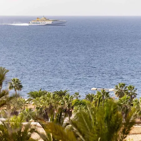 アパート In Santa Cruz De Tenerife - Insel Teneriffa 42917
